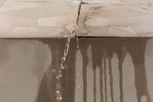 Professional Flood Damage Cleanup technician working in Maplewood, WA